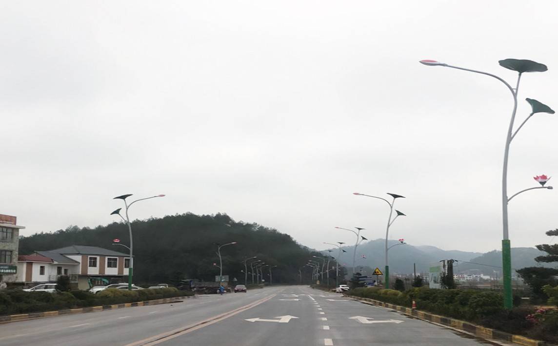 福建长汀项目