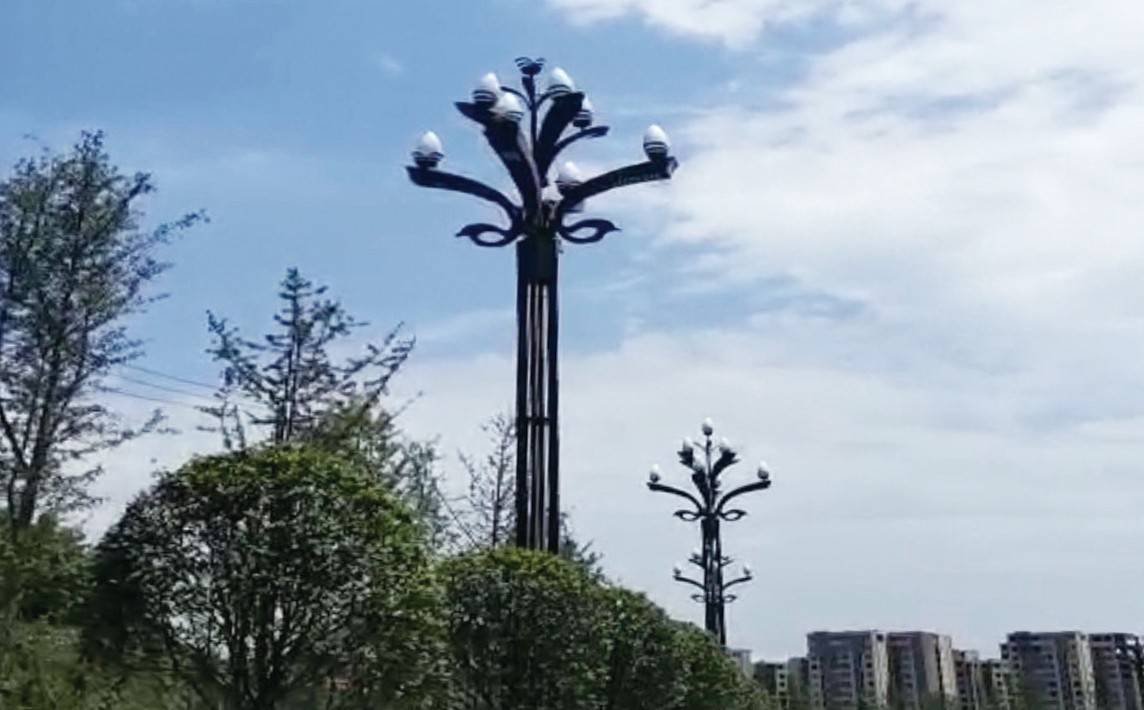 甘肃张掖项目