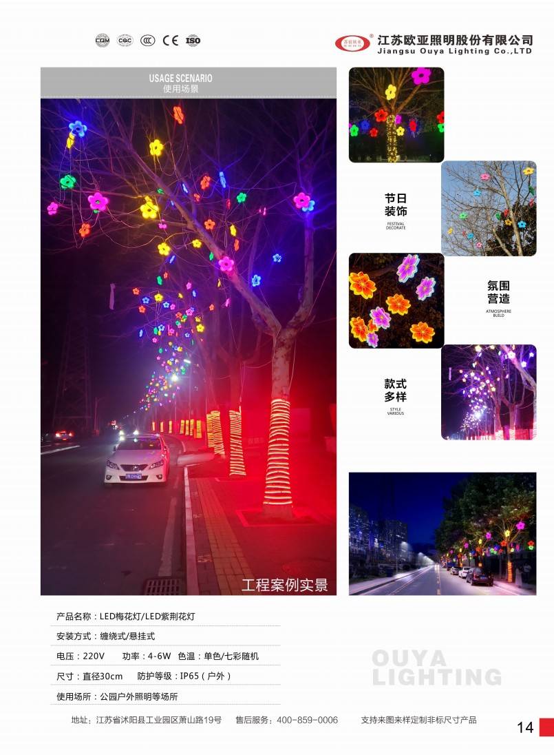 亮化工程21